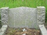 image of grave number 548616